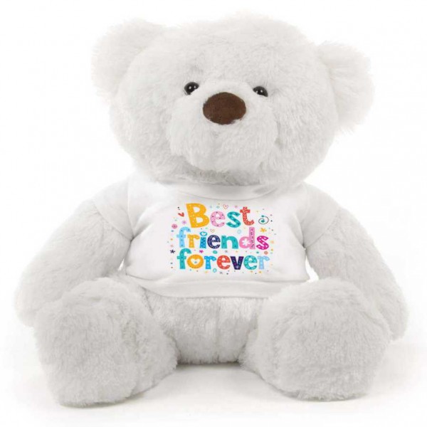 White 2 feet Fur Face Big Teddy Bear wearing a Best Friends Forever T-shirt